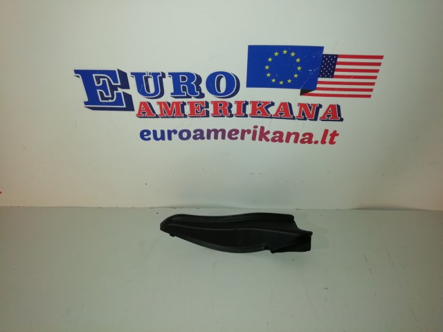 Side Cover (right)